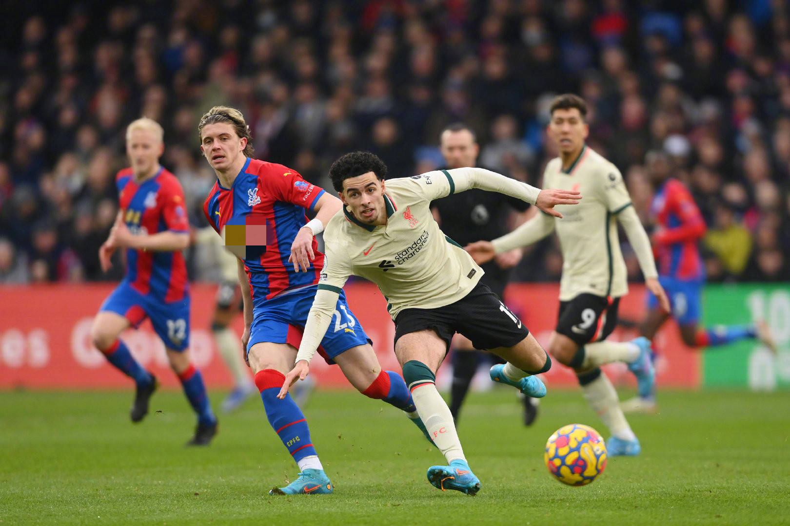 人信念与群 人信念与群