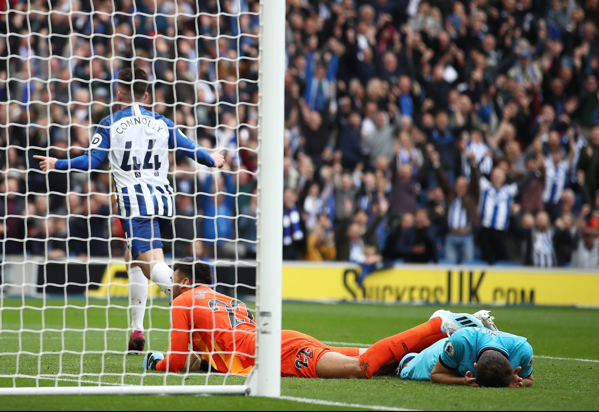 球队的年轻 球队的年轻